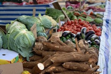 Foto - FEIRA LIVRE 