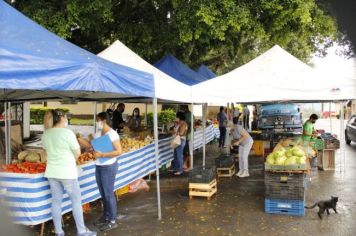 Foto - Feira Livre