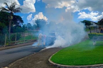 Foto - DEDETIZAÇÃO NA ZONA URBANA