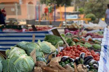 FEIRA LIVRE 