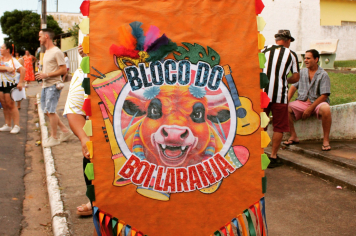Bloco Do Boi Laranja!