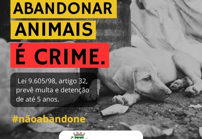 O abandono de animais em nosso município é uma triste realidade